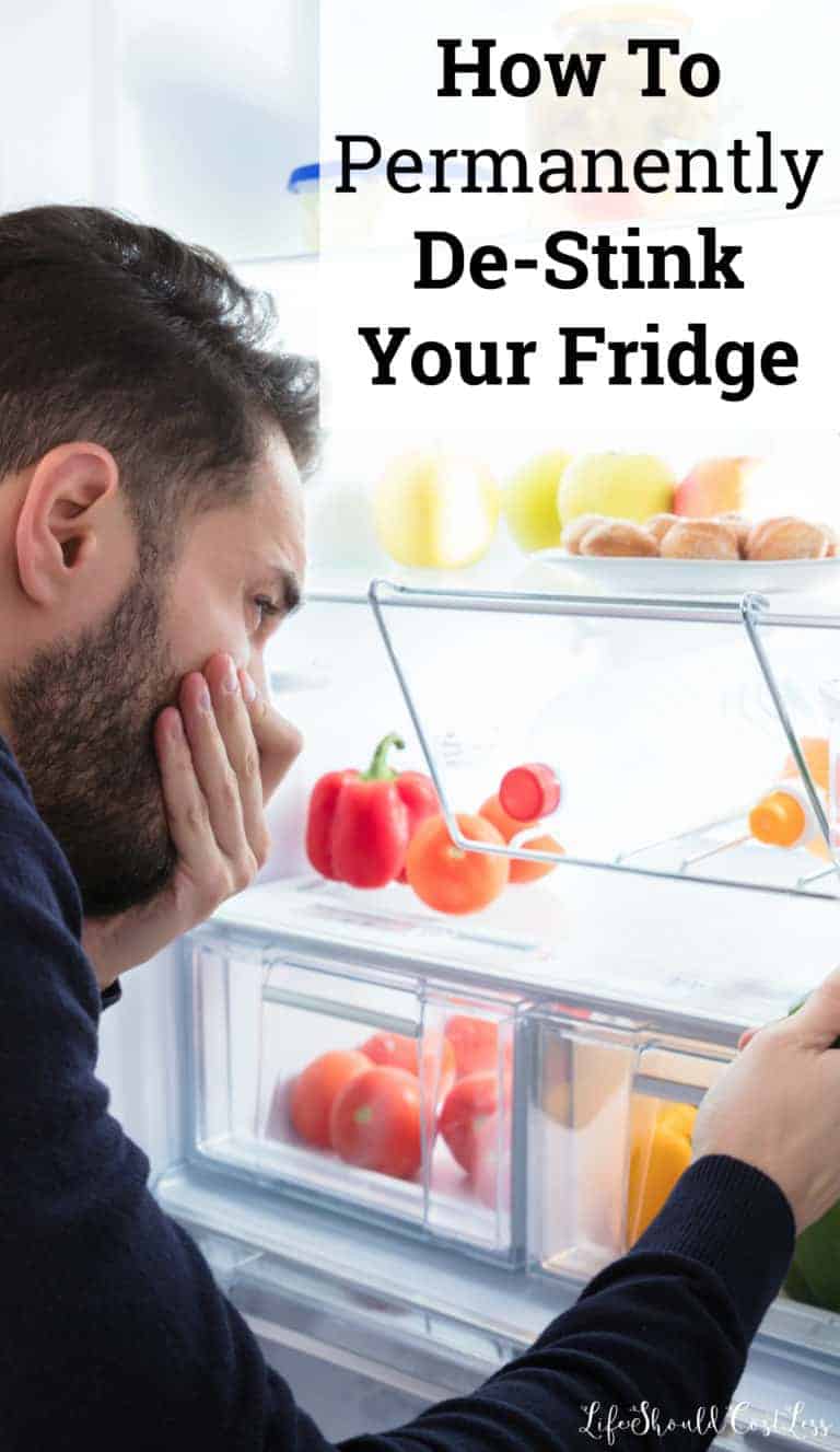 How To Permanently DeStink Your Fridge Life Should Cost Less