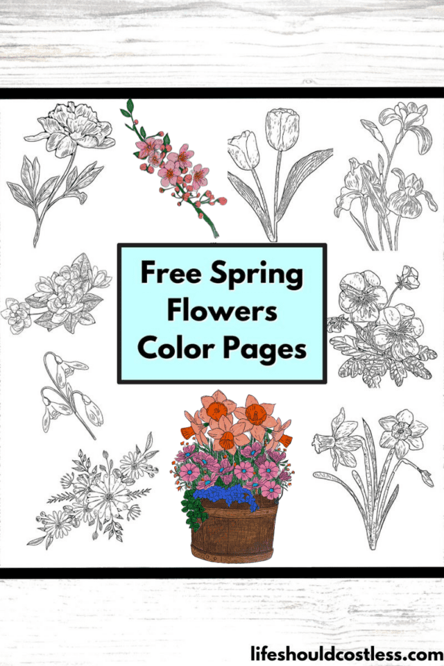 Spring Flowers Color Pages Free Printable Pdf Templates Life Should