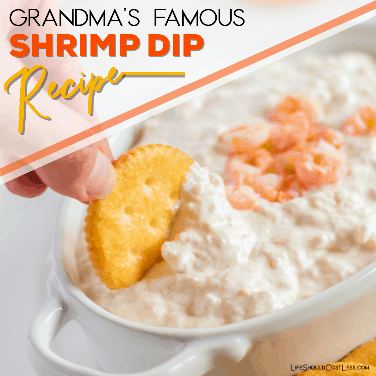 Grandma's Famous Shrimp Dip Recipe - Life Should Cost Less