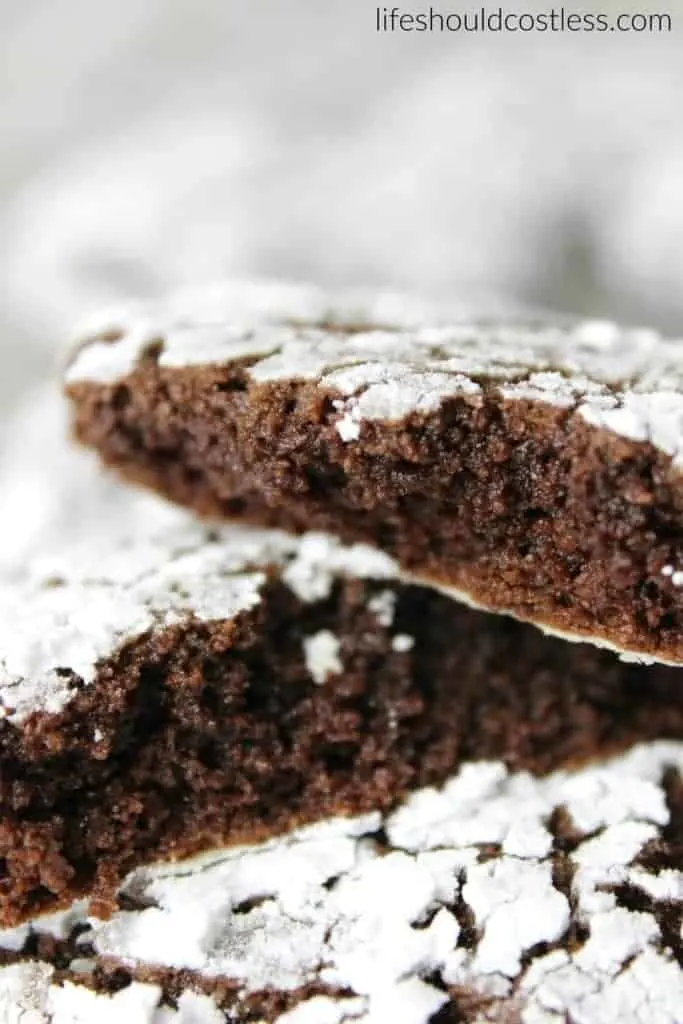 Ooey Gooey Spicy Chocolate Crinkle Cookies. They pack a punch with Cayenne Pepper and Cinnamon. {lifeshouldcostless.com}