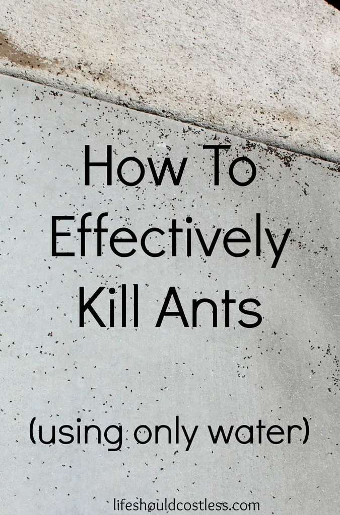 https://lifeshouldcostless.com/2015/06/how-to-effectively-kill-ants-using-only.html