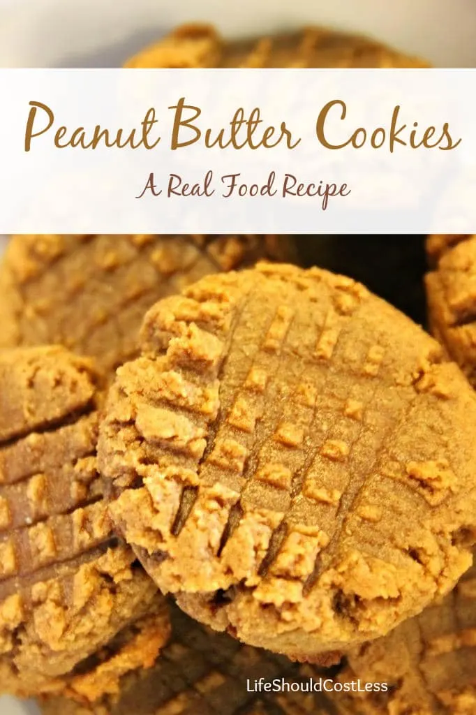 https://lifeshouldcostless.com/2012/03/peanut-butter-cookies-real-food-recipe.html