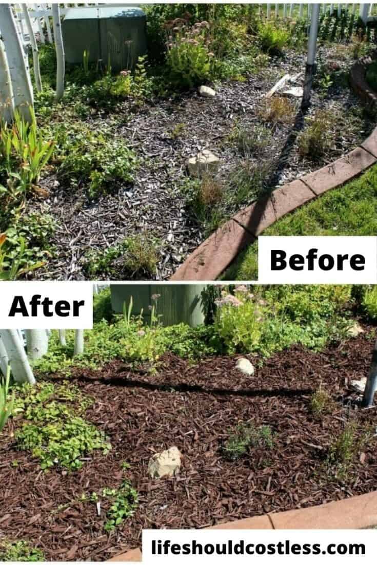 What it looks like after adding mulch/wood chips to your landscape.