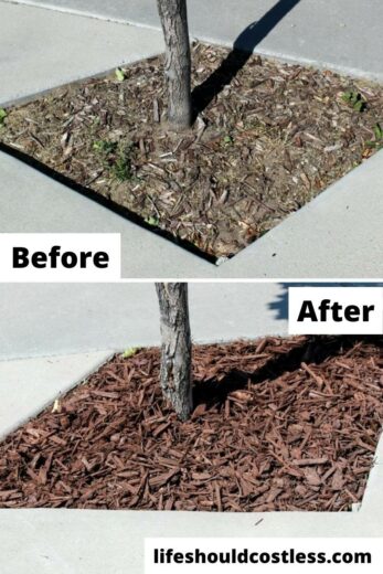 What you need to know about mulch for landscaping - Life Should Cost Less