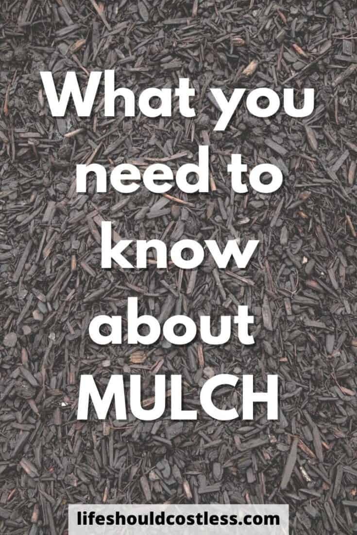 What you need to know about mulch. When is the best time to buy?