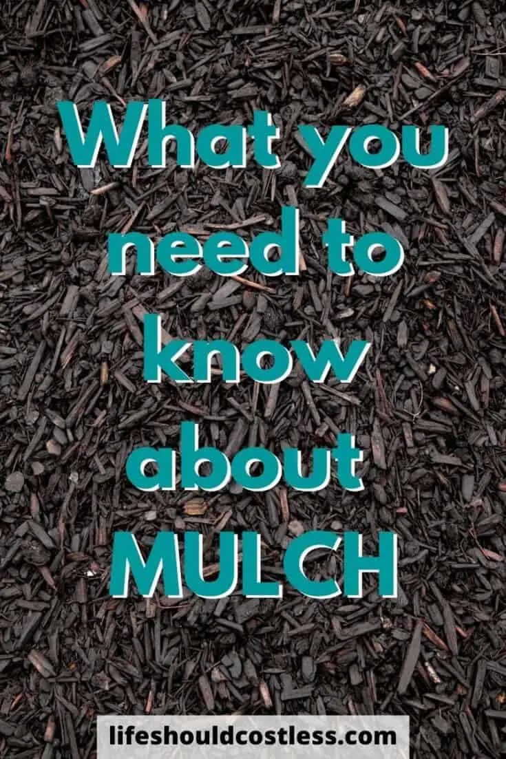 Can you put new mulch on top of old mulch? When is the best time to buy mulch?