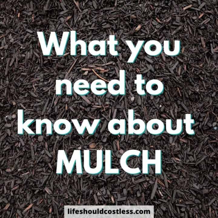 Can you put new fresh mulch on top of old mulch?