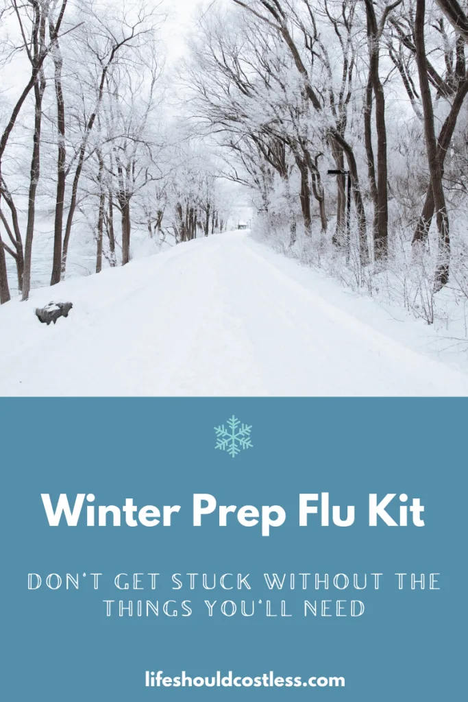 Winter prep flu kit. Tips to prepare for sickness before winter hits.