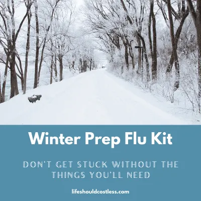How to prepare for flu season.