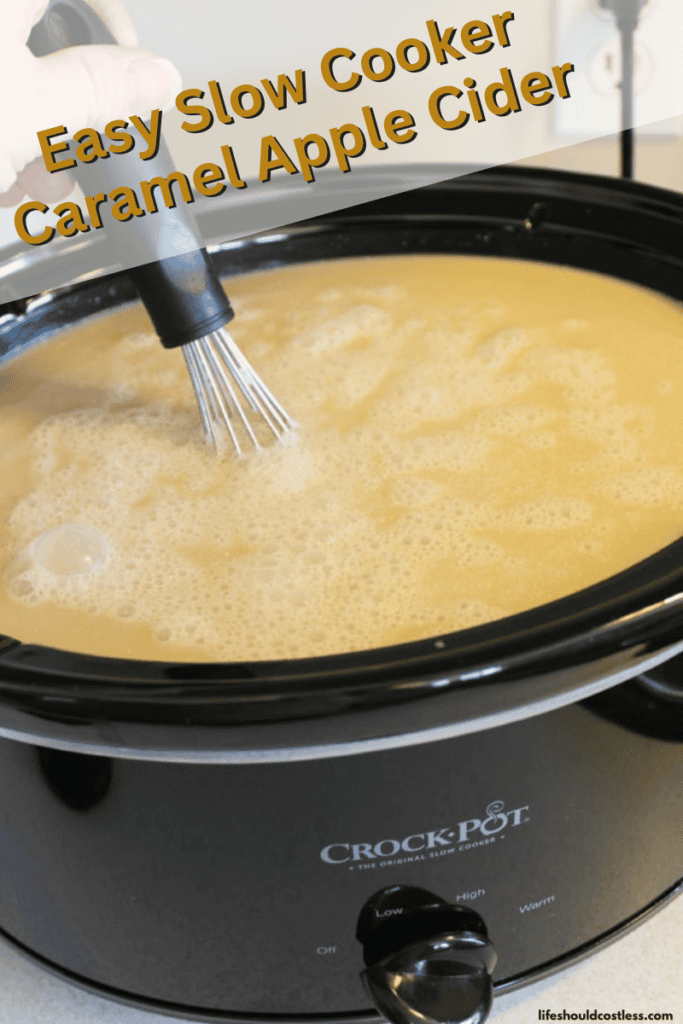 Slow cooker spiced apple cider