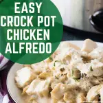 easy chicken alfredo recipe with canned sauce.