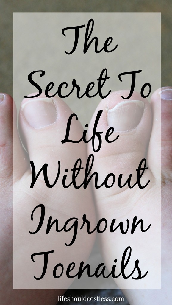 https://lifeshouldcostless.com/2015/07/the-secret-to-life-without-ingrown.html
