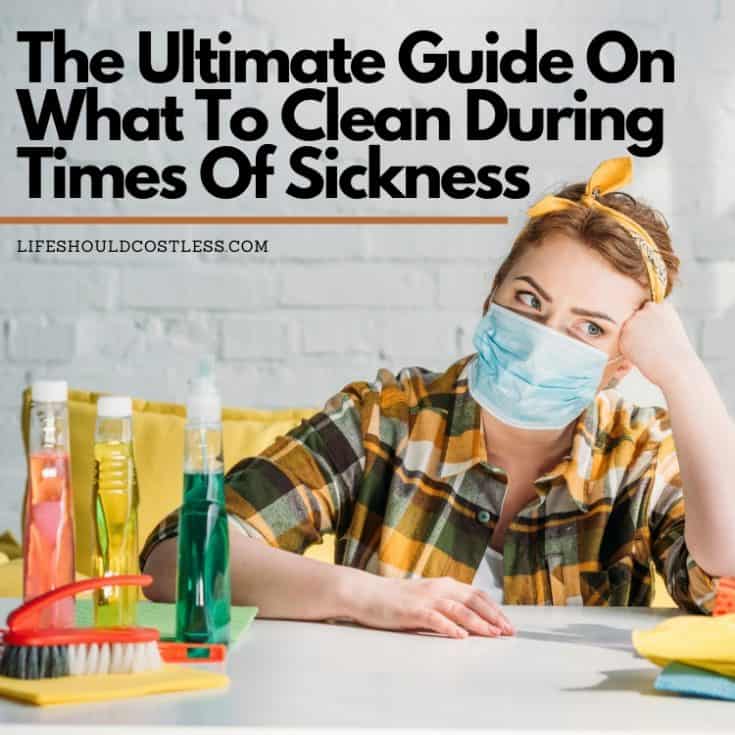 How to clean sickness. Best ways to disinfect. lifeshouldcostless.com
