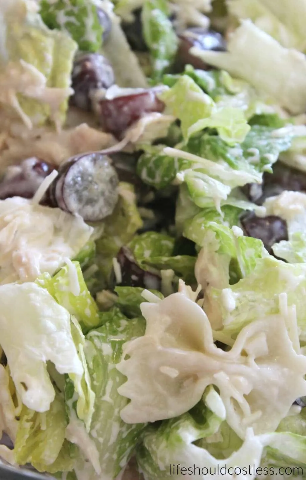 Bow Tie Chicken Salad. It's so tasty, it will be your new favorite in no time! #wildcoyoteranch {lifeshouldcostless.com}