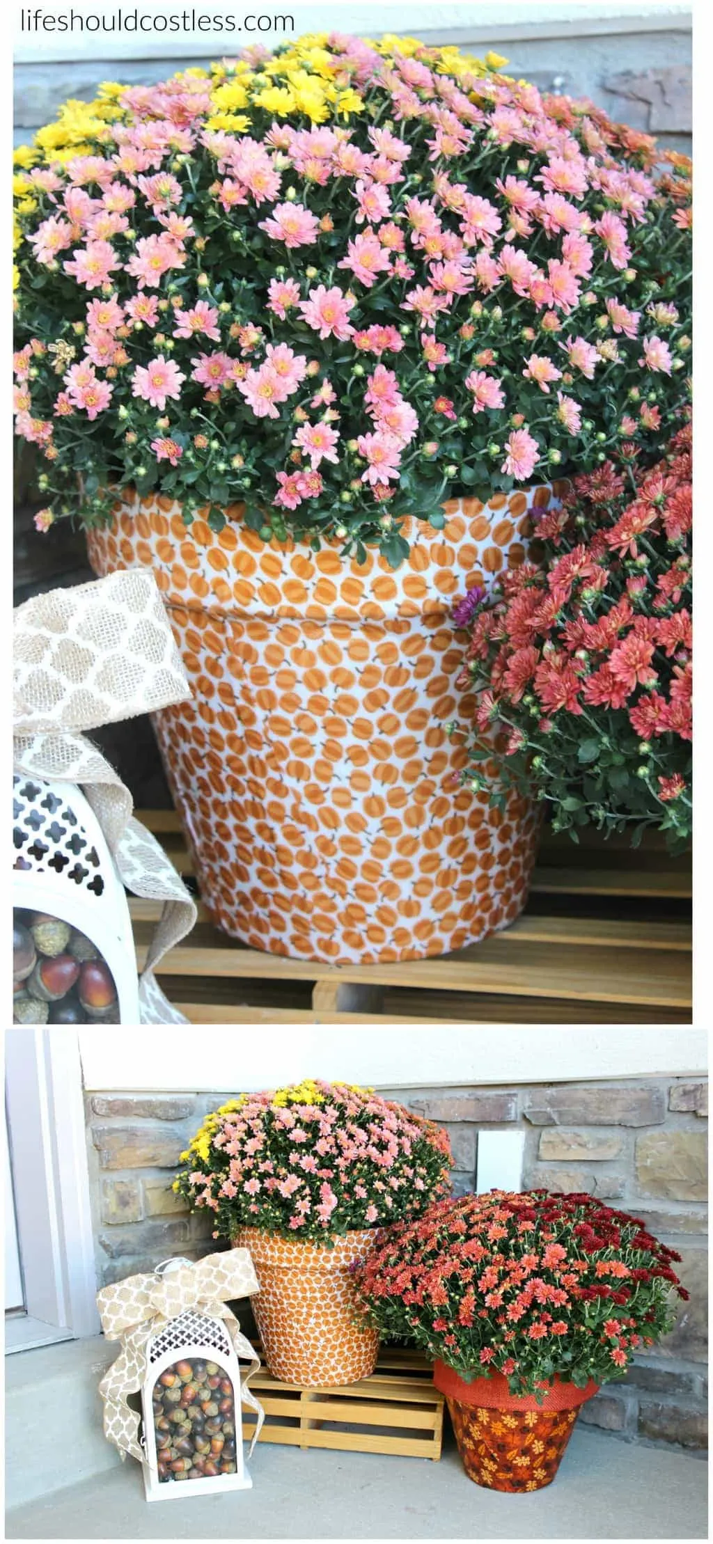 autumn-print-potted-mums