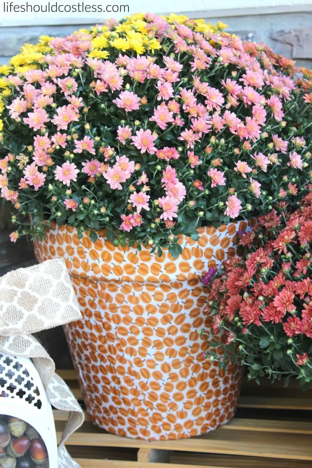 autumn-print-potted-mums