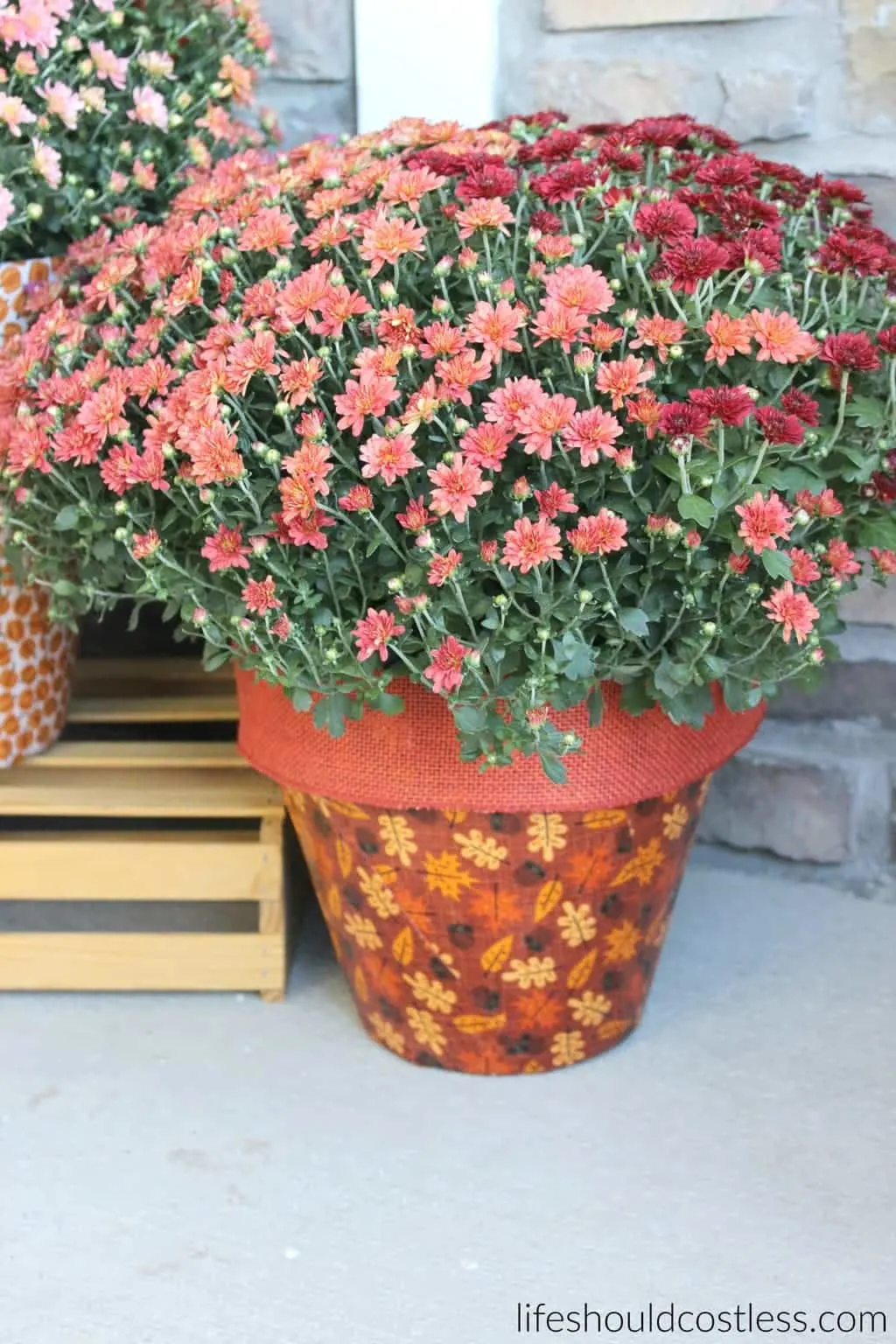 autumn-print-potted-mums