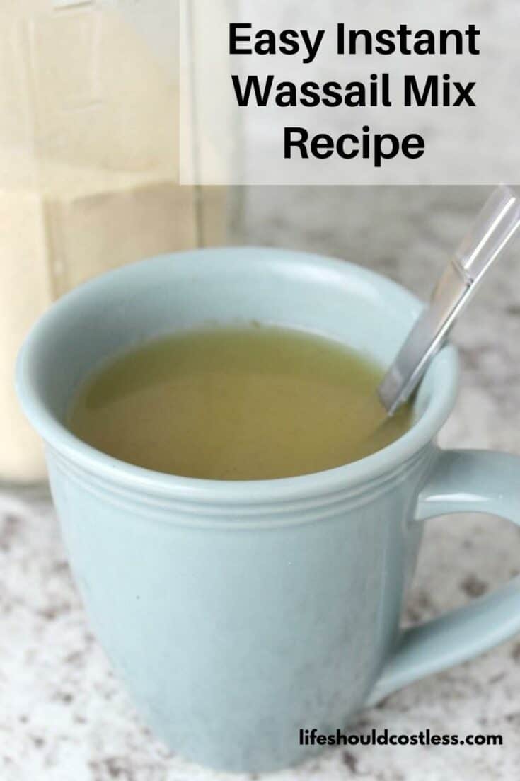 What is wassail drink? Here is an easy wassail drink powder mix recipe with tang.