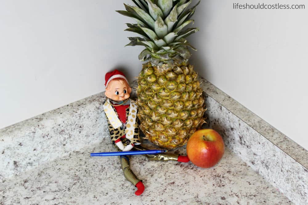 PPAE Pen Pineapple Apple Elf (on the shelf).