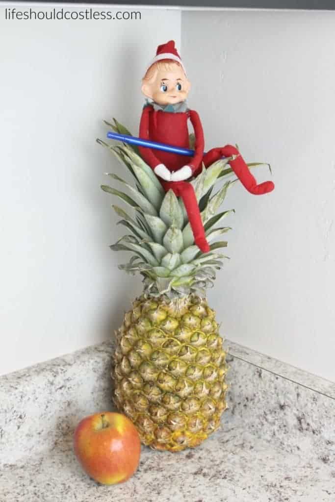 PPAE Pen Pineapple Apple Elf (on the shelf).