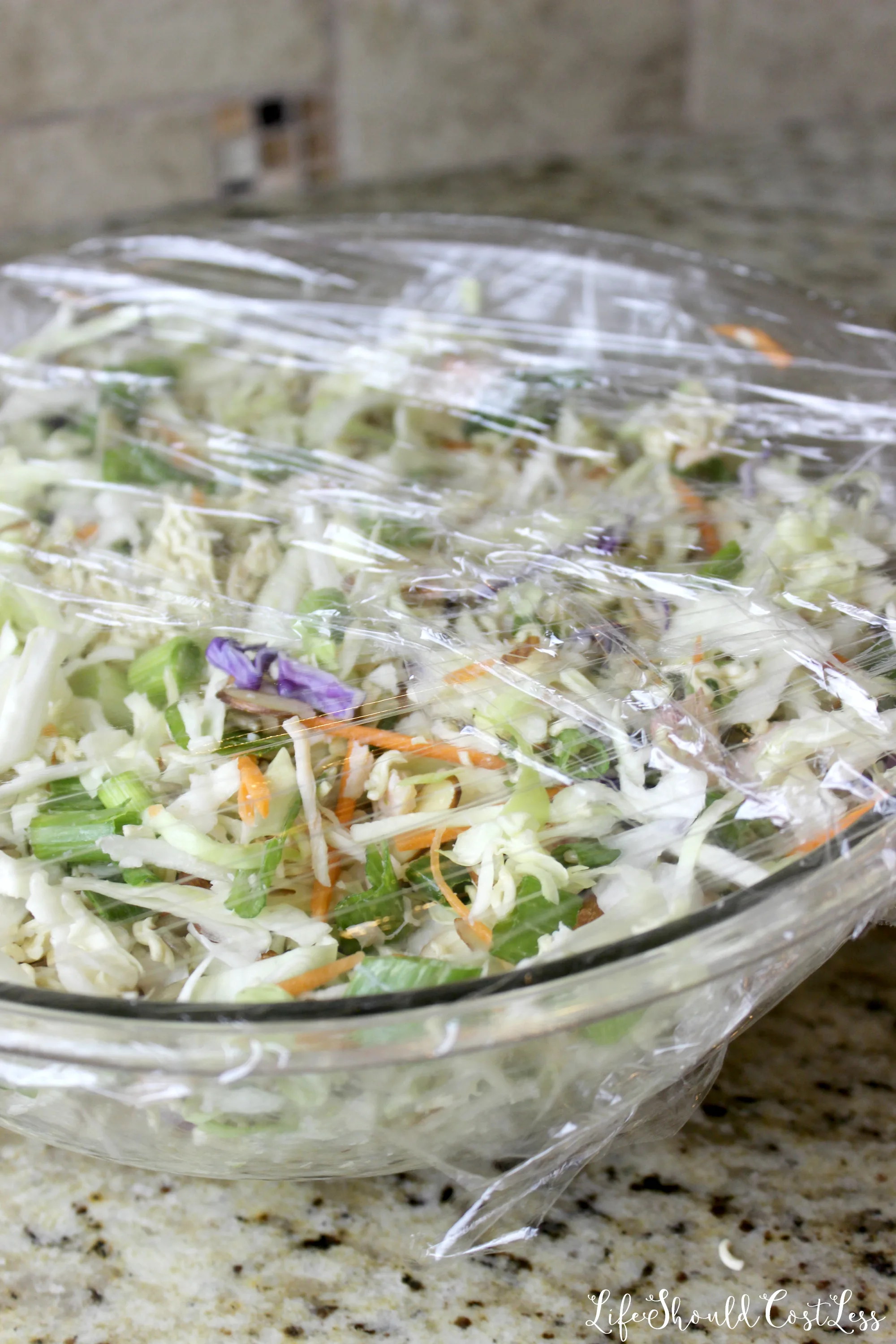 The best oriental Chicken Salad recipe with cole slaw and ramen noodles.
