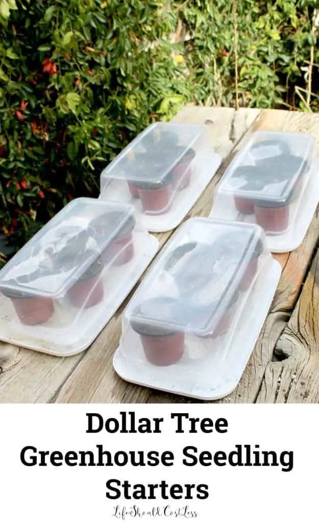 Dollar Tree Greenhouse Seedling Starters. Fun and cheap idea to get kids excited about gardening. lifeshouldcostless.com
