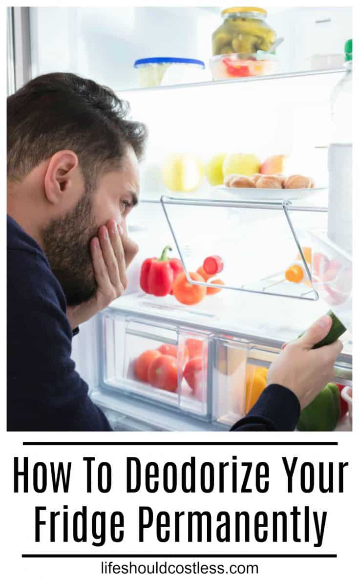 How To Deodorize Your Fridge Permanently