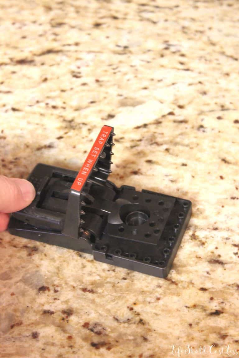 Jawz Mouse Traps Product Review - Life Should Cost Less