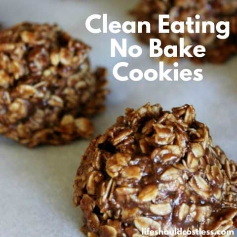 Clean Eating No Bake Cookies - Life Should Cost Less