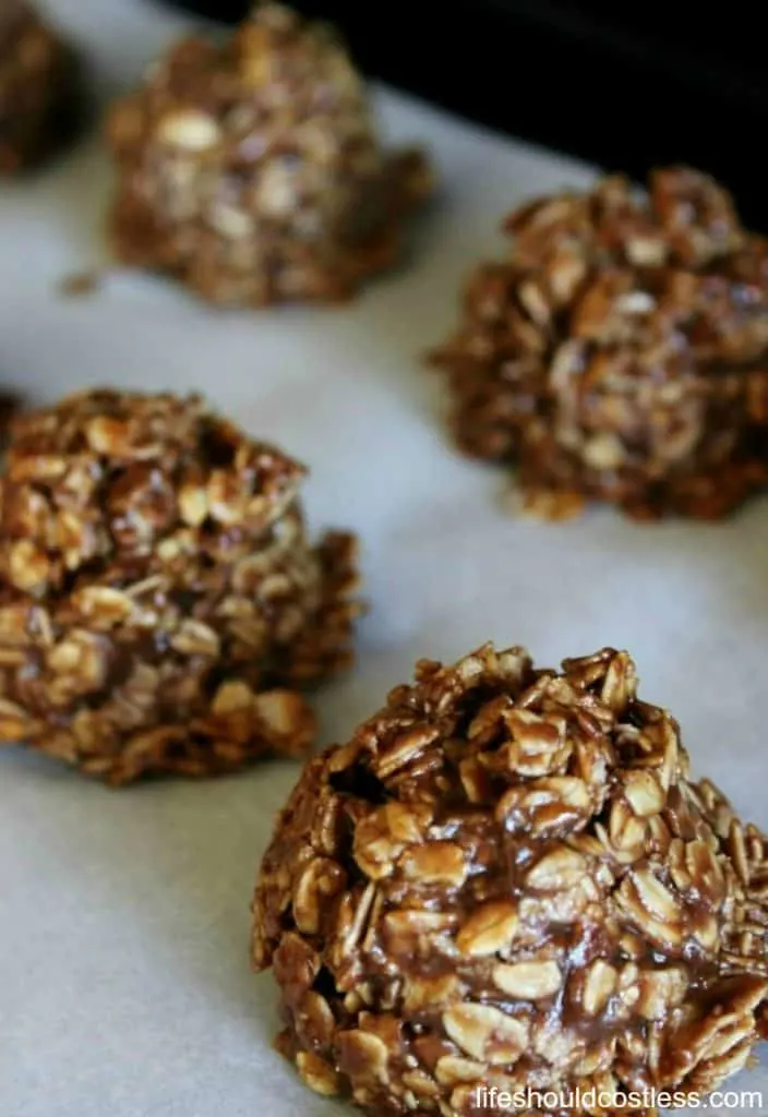 Clean Eating/Real Food No Bake Cookies Recipe. lifeshouldcostless.com