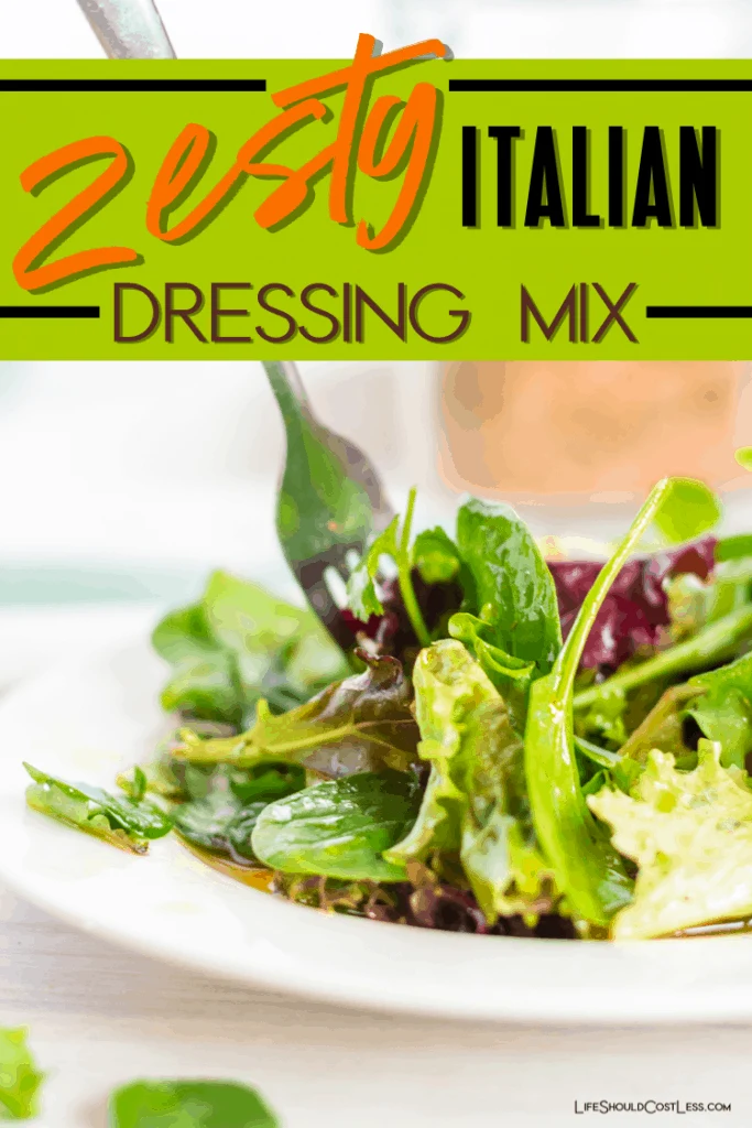 Zesty Italian Dressing Mix Recipe for both the dry mix and the dressing. lifeshouldcostless.com