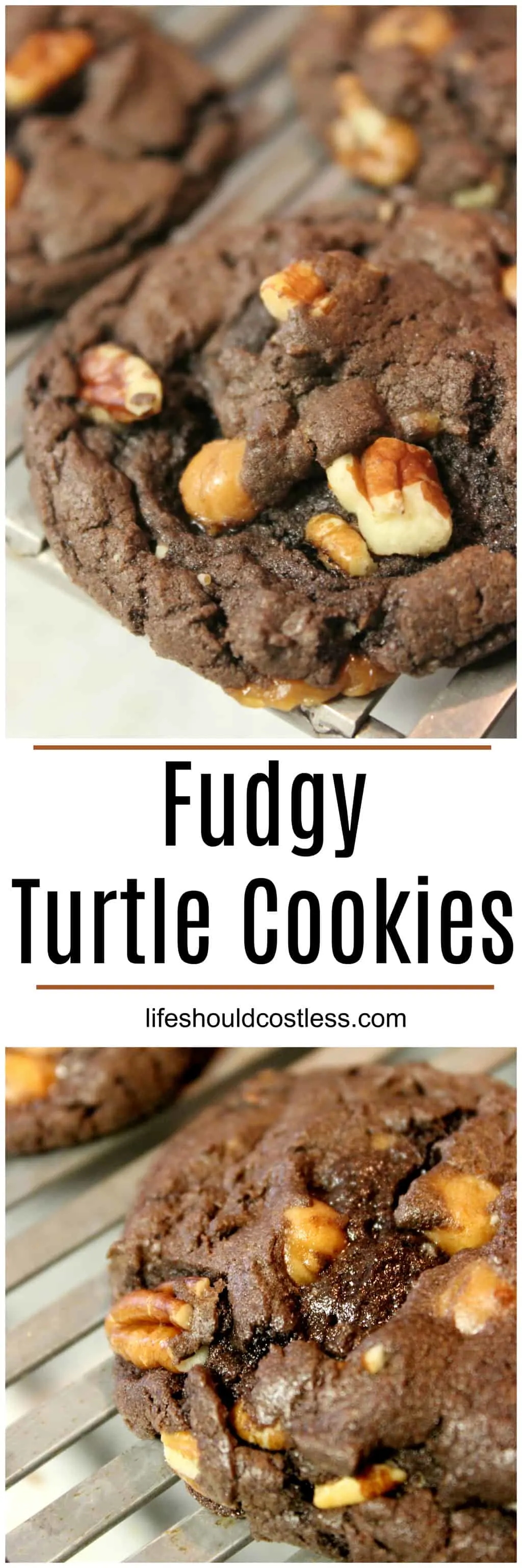 Fudgy Turtle Cookies