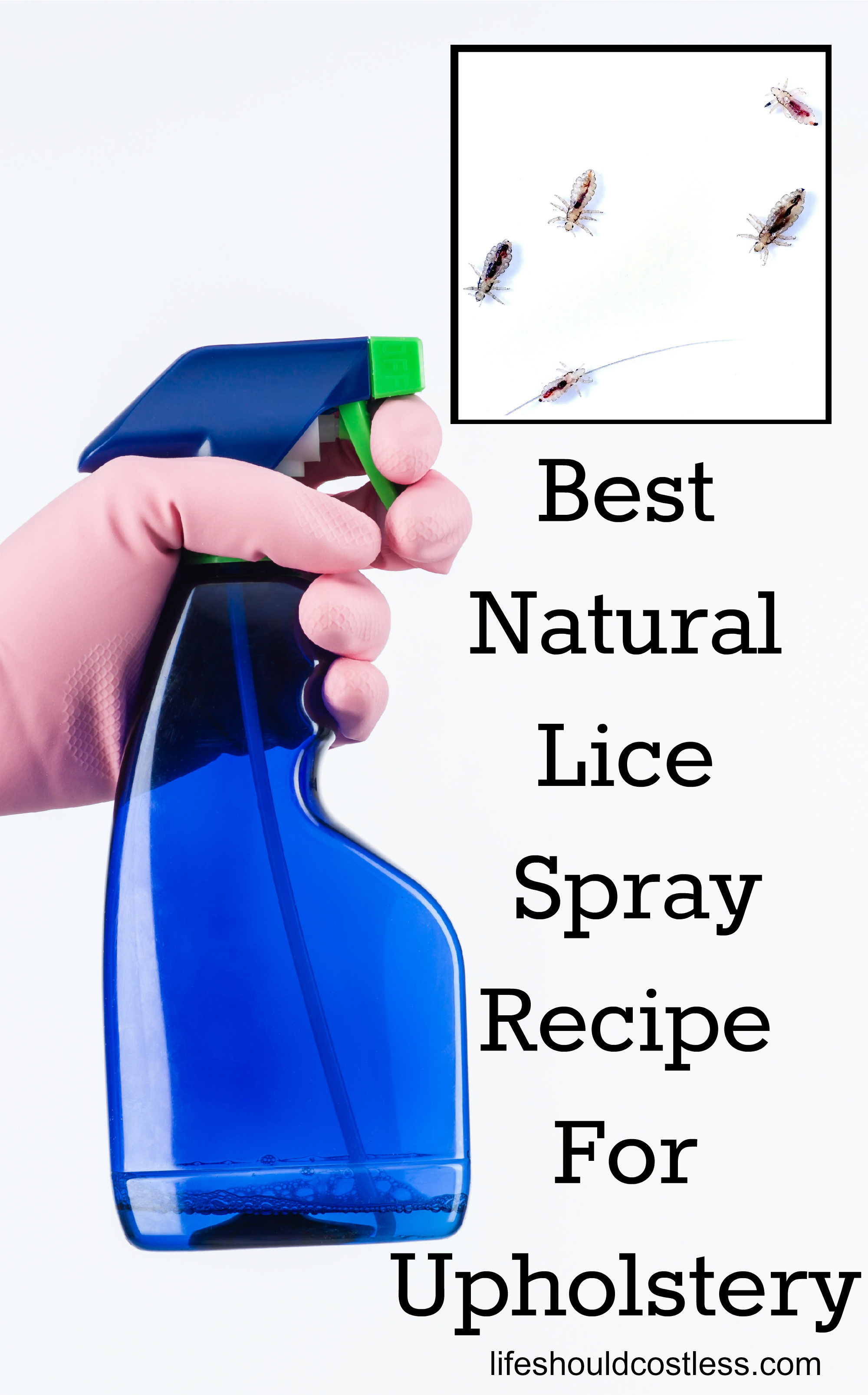 Best Head Lice Treatment Spray Recipe For Upholstery (couches, beds, carpet, plush toys, furniture, car interior)