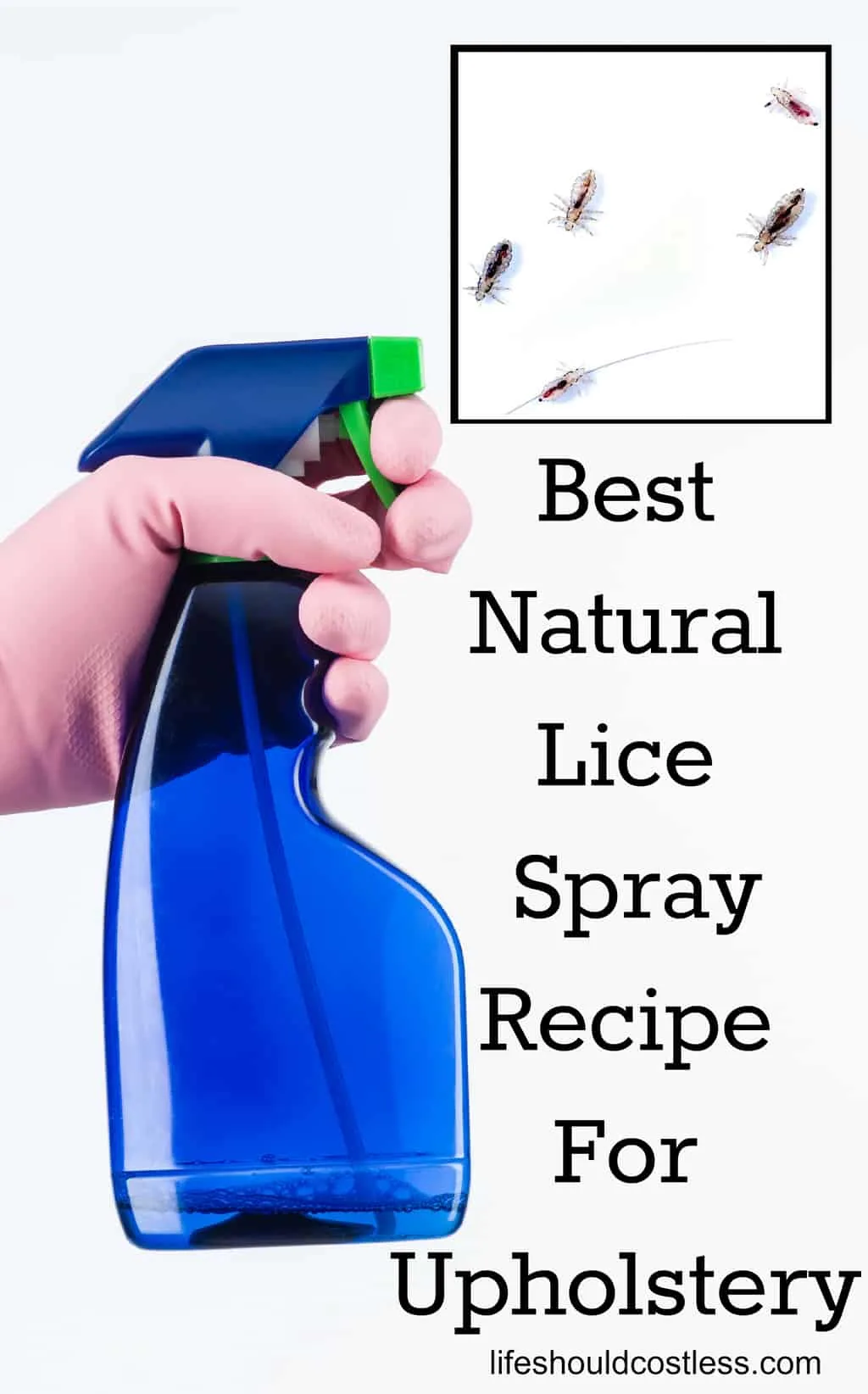 Best Head Lice Treatment Spray Recipe For Upholstery (couches, beds,  carpet, plush toys, furniture, car interior) - Life Should Cost Less
