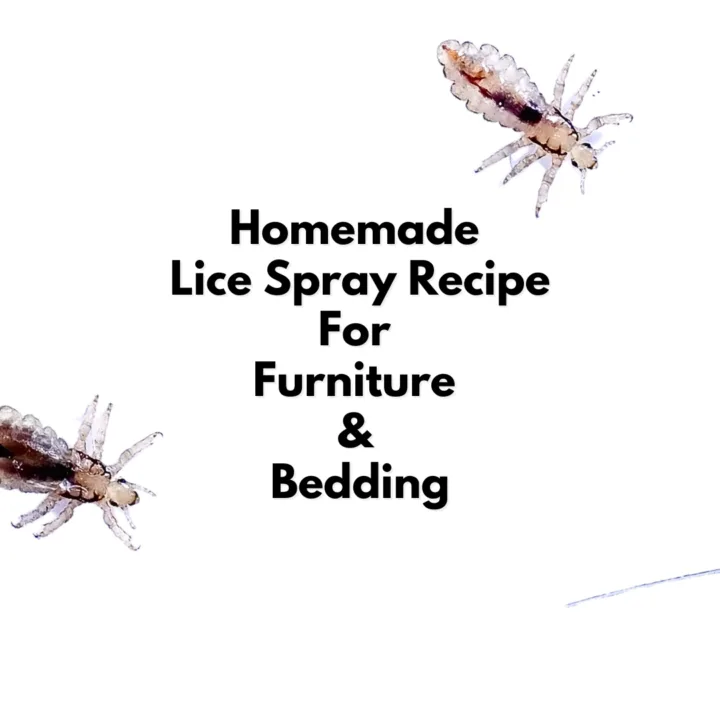 DIY lice spray for furniture