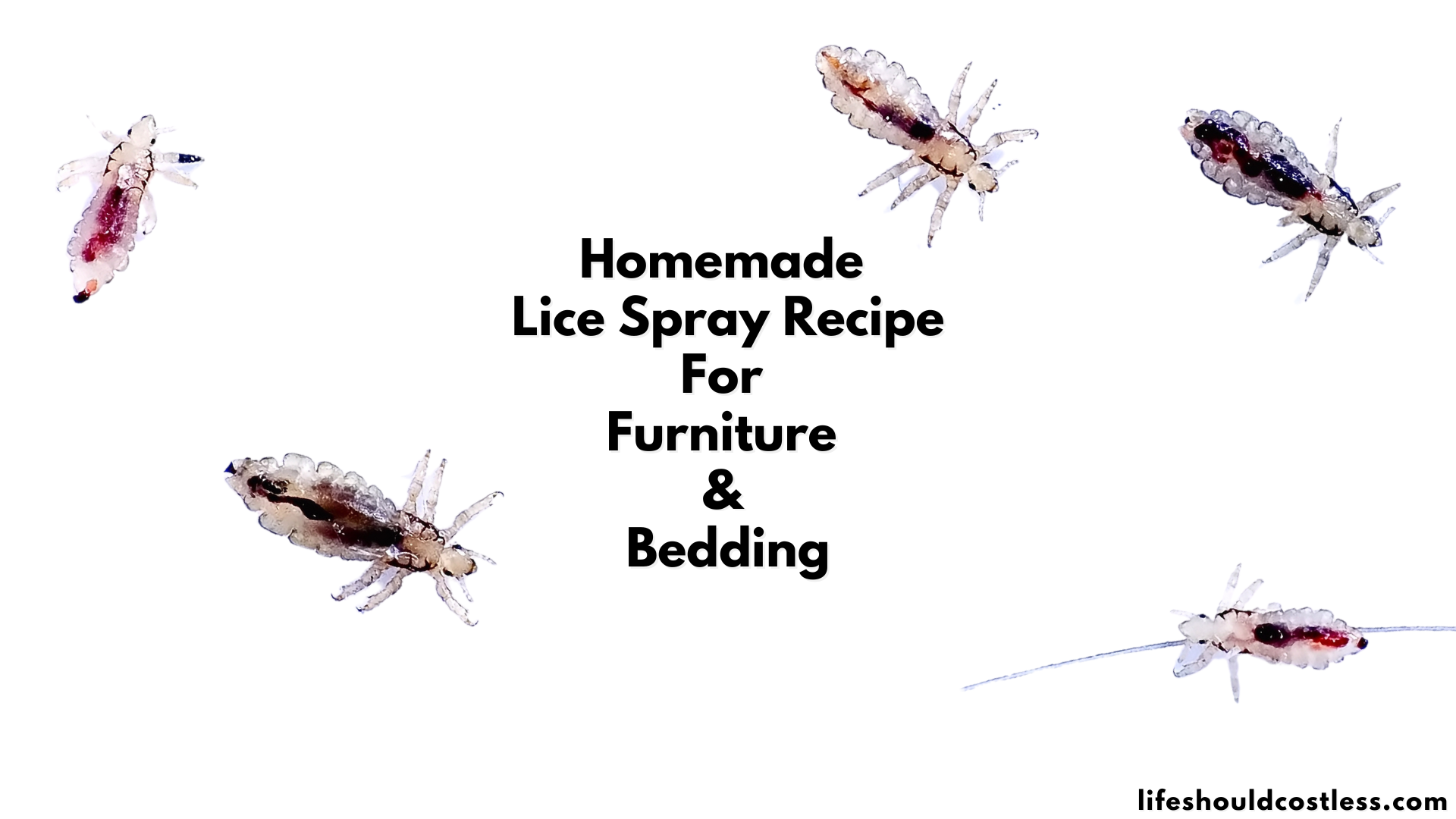 Homemade Lice Spray For Furniture And Bedding - Life Should Cost Less