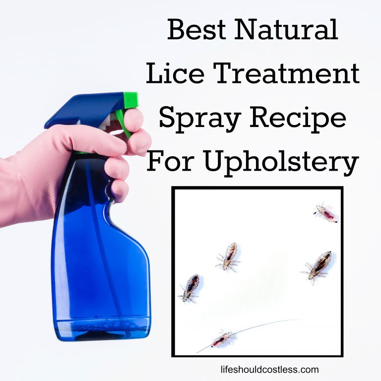 Homemade Lice Spray For Furniture And Bedding - Life Should Cost Less