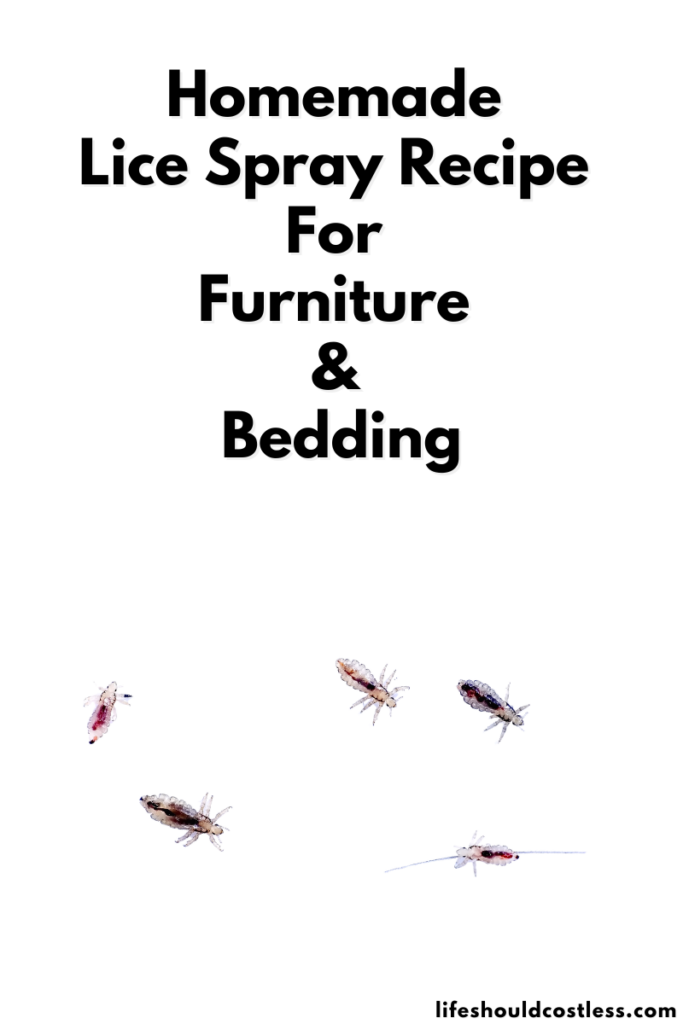 Homemade Lice Spray For Furniture And Bedding Life Should Cost Less