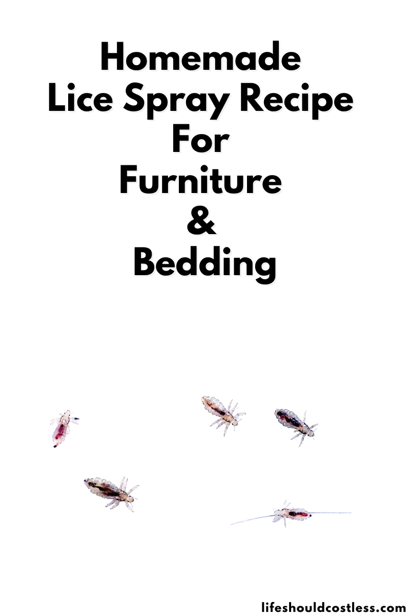 homemade lice spray for bedding and furniture