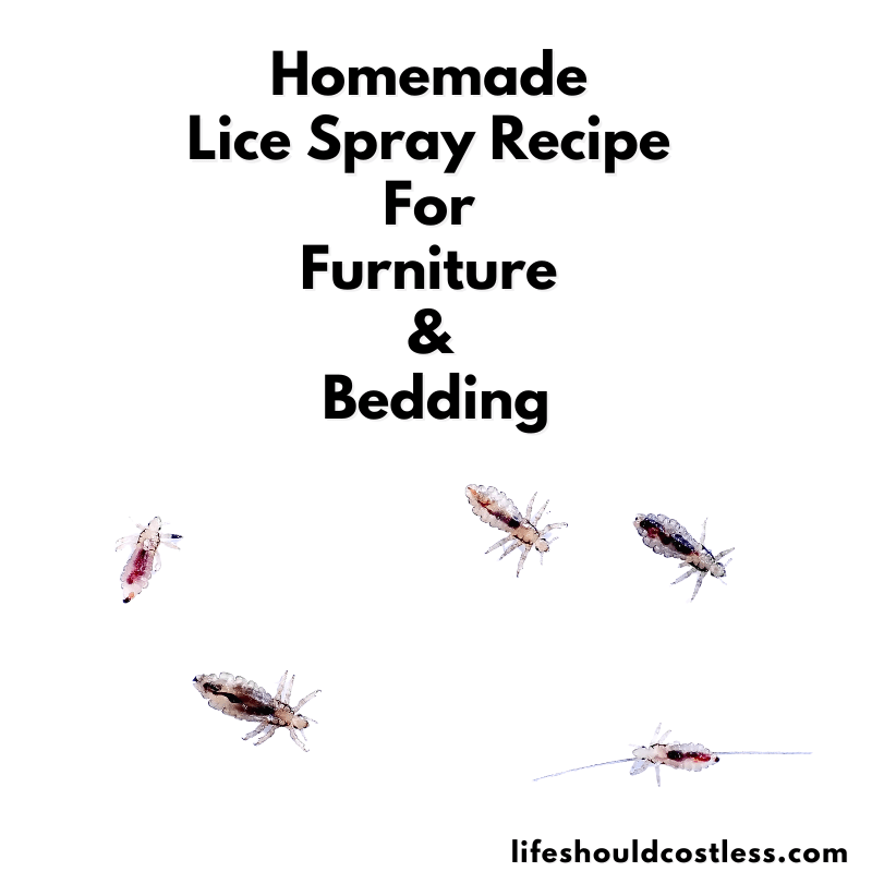 homemade lice spray for bedding