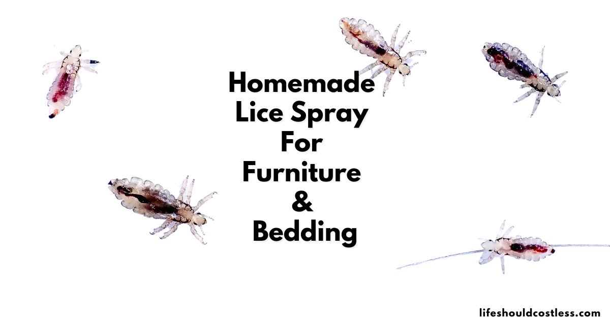 Homemade Lice Spray For Furniture And Bedding Life Should Cost Less