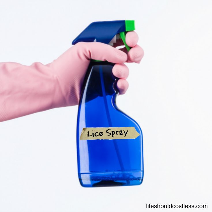 Homemade Lice Spray For Furniture And Bedding Life Should Cost Less