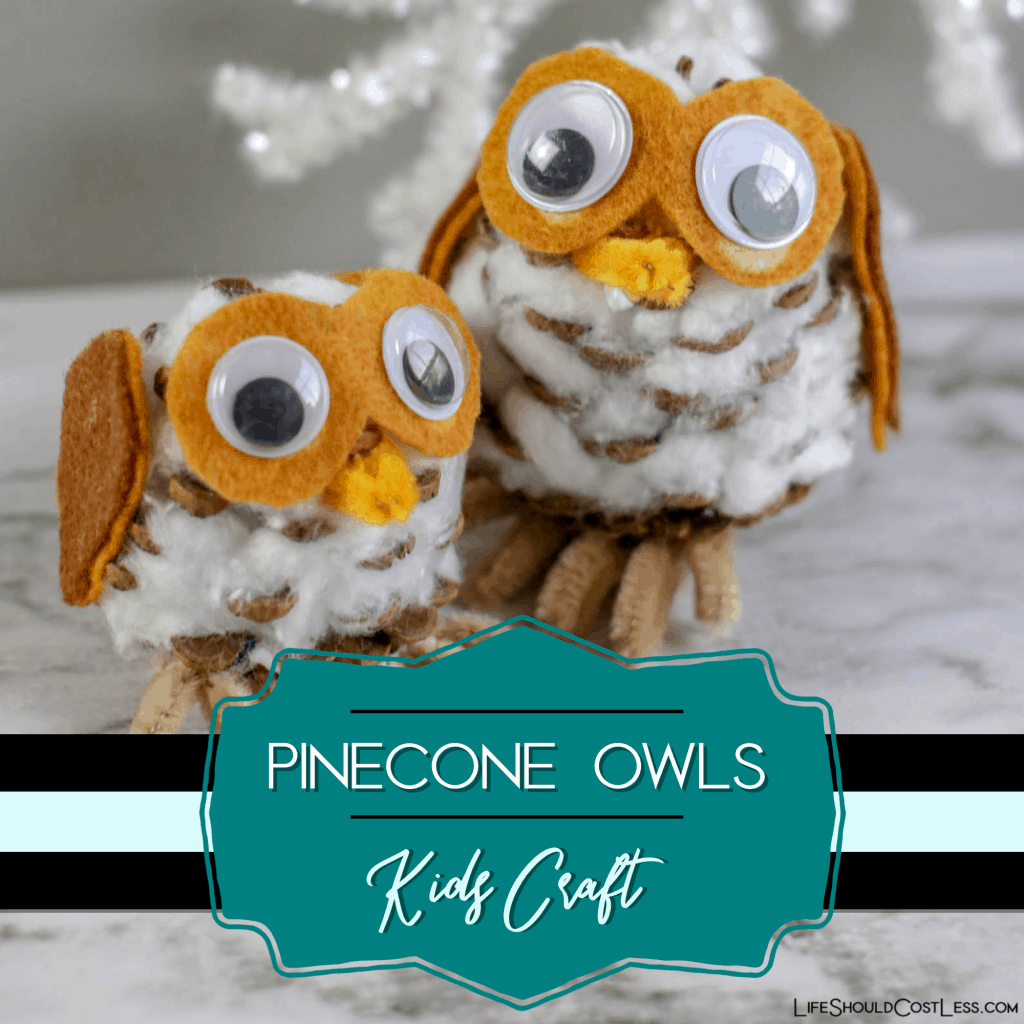 Pinecone Owl Winter Kid Craft Life Should Cost Less