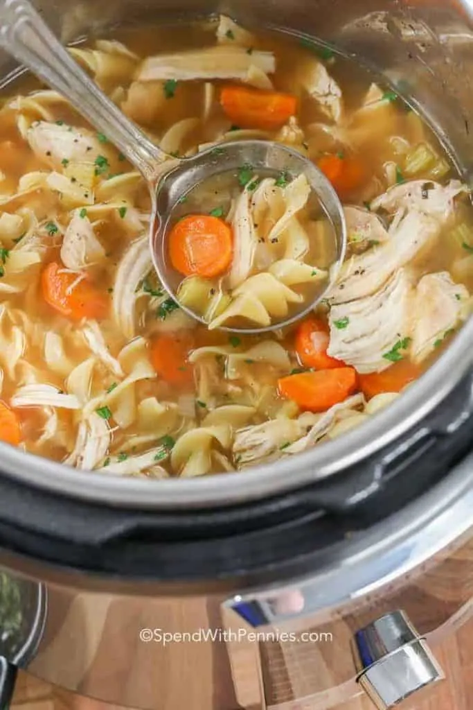Instant Pot Pressure Cooker Chicken Noodle Soup Recipe