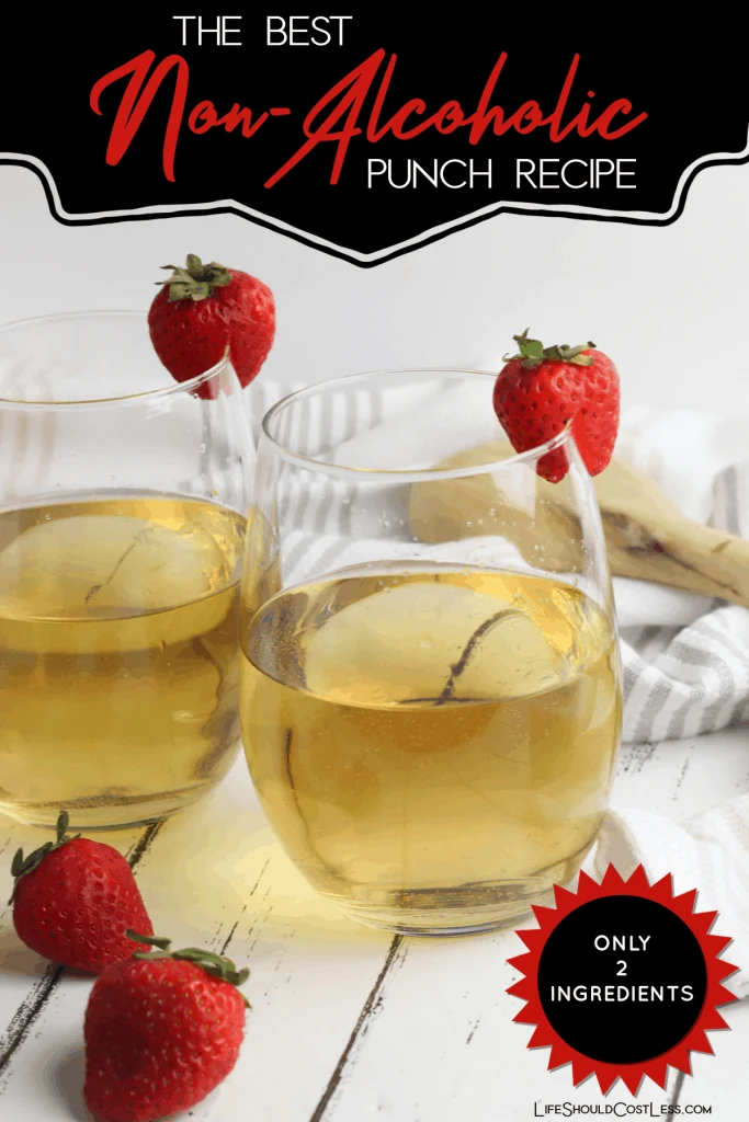 Best Non-Alcoholic Punch Recipe lifeshouldcostless.com