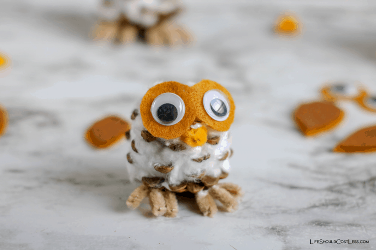 Supplies needed to make pinecone owls kids craft. lifeshouldcostless.com