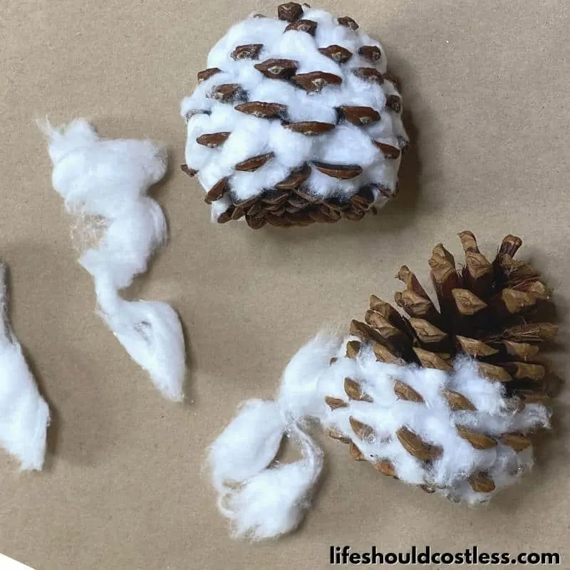Step 4 Pull pieces of the cotton balls apart & gently stuff the cotton between the prongs of the pine cone.