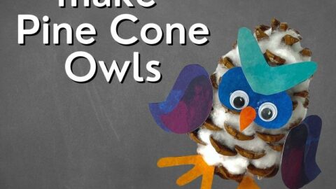 how to make pine cone owls