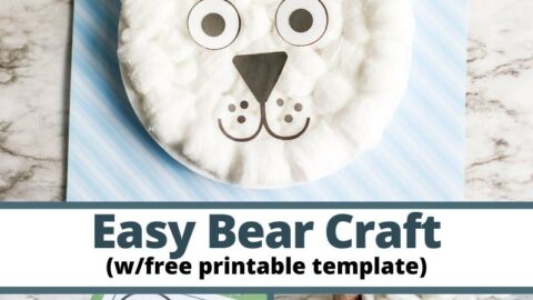 cottonball polar bear paper craft with free printable bear cut out template