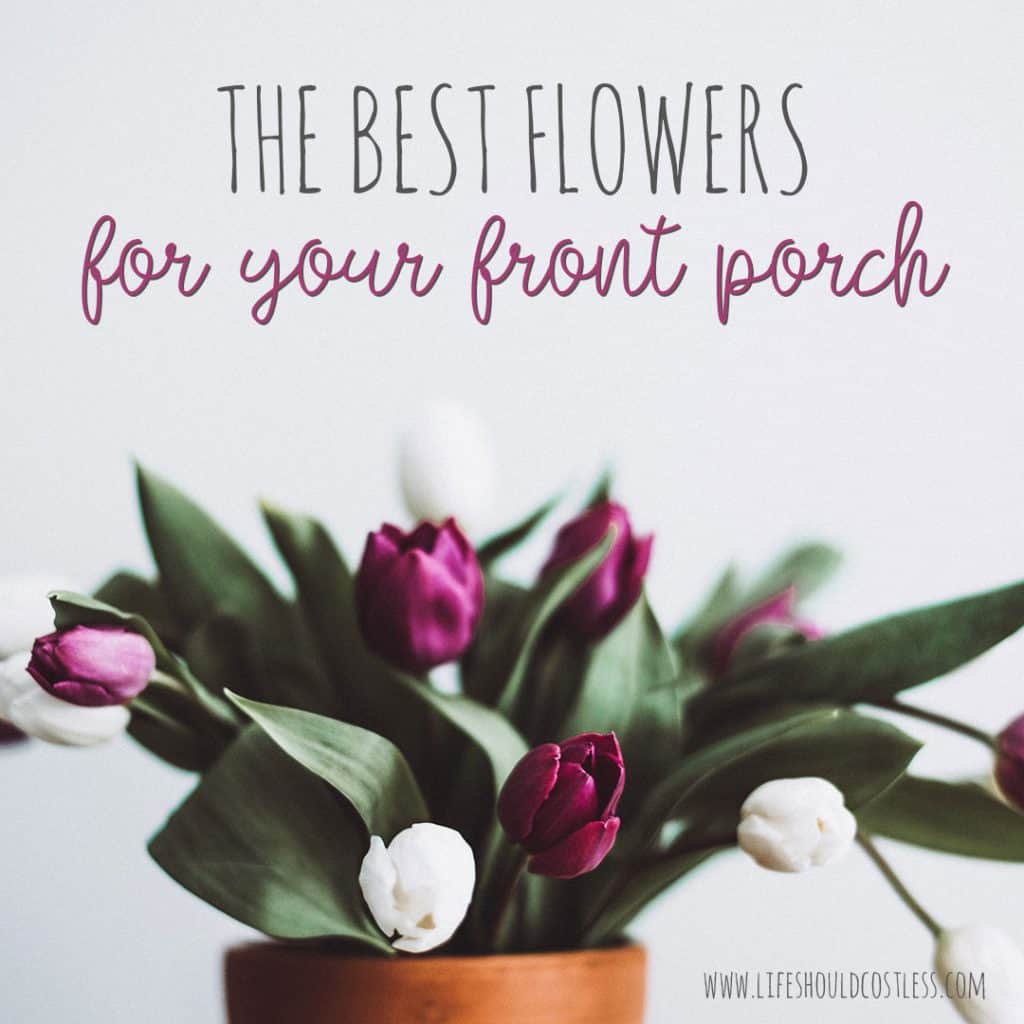What flowers to plant in shaded areas.